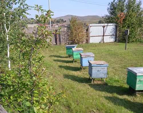 Фото Управления Россельхознадзора по Хакасии и Туве